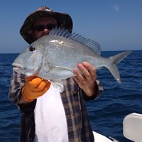 Monstrous Brown Trout Caught on Milwaukee Great Lakes Fishing Charter