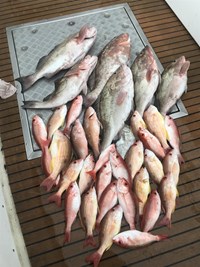 Catch your limit of Rainbow Trout with Crabby Charters in Wisconsin