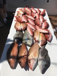 Catch Rainbow Trout Near Milwaukee with Crabby Charters