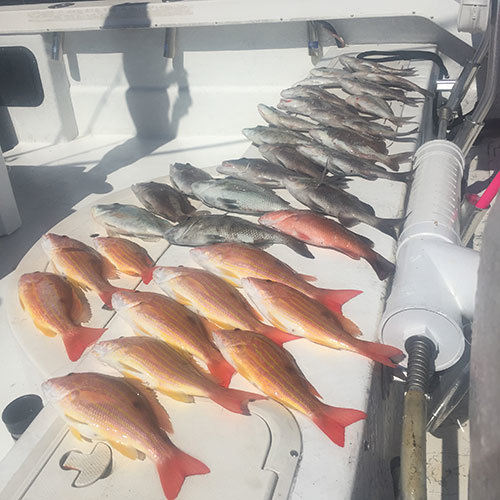 Milwaukee Lake Trout Fishing Haul of Lake Trout and Brown Trout Caught on Milwaukee Great Lakes Fishing Charter