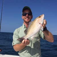 Massive Lane Lake Trout Caught on Milwaukee Great Lakes Fishing Charter
