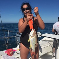 Yellowtail Lake Trout Caught on Milwaukee Great Lakes Fishing Charter
